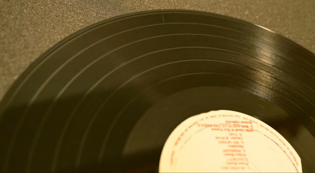 TT　Fly Flying Ska Judge Dread