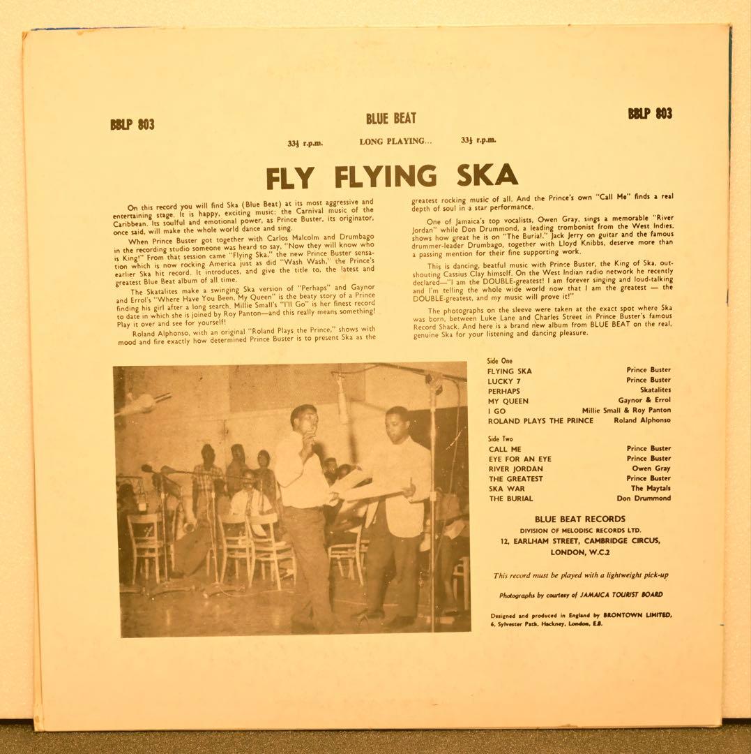 TT　Fly Flying Ska Judge Dread