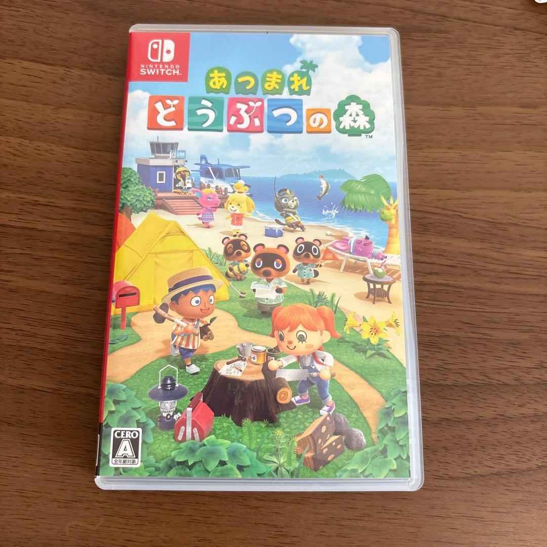 Nintendo Switch Lite ブルー 本体 充電器 ケースソフト付き