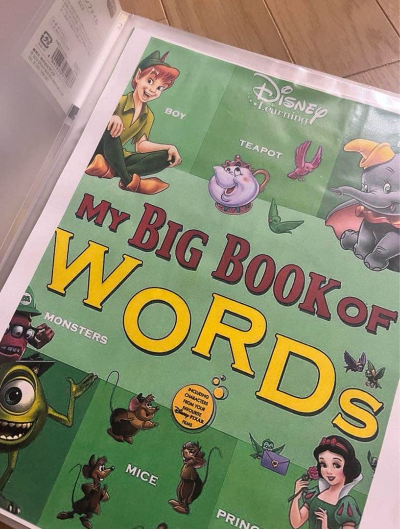DWE MY BIG BOOK OF WORDS ペン付き
