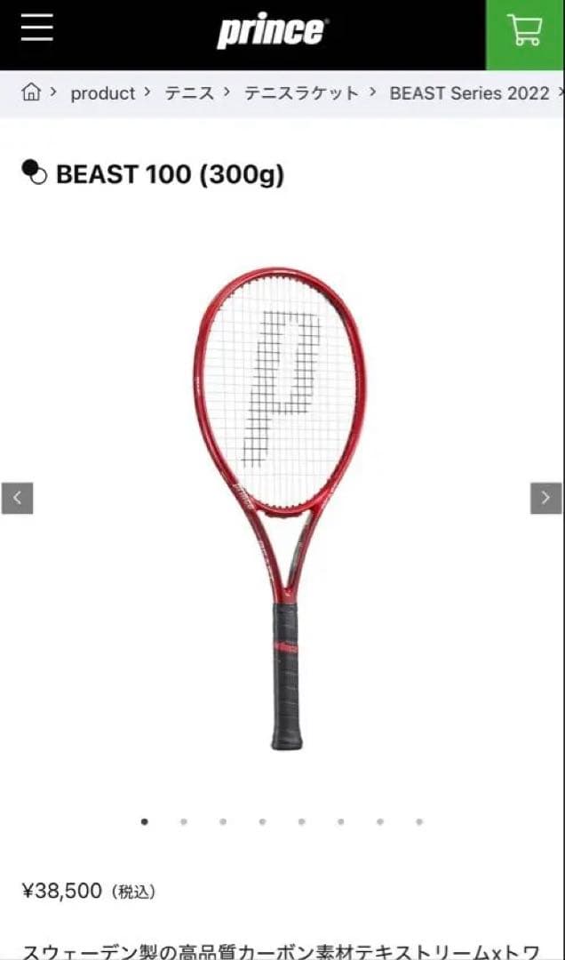 【１本1万円以内】Prince BEAST100 (300g) 2本セット