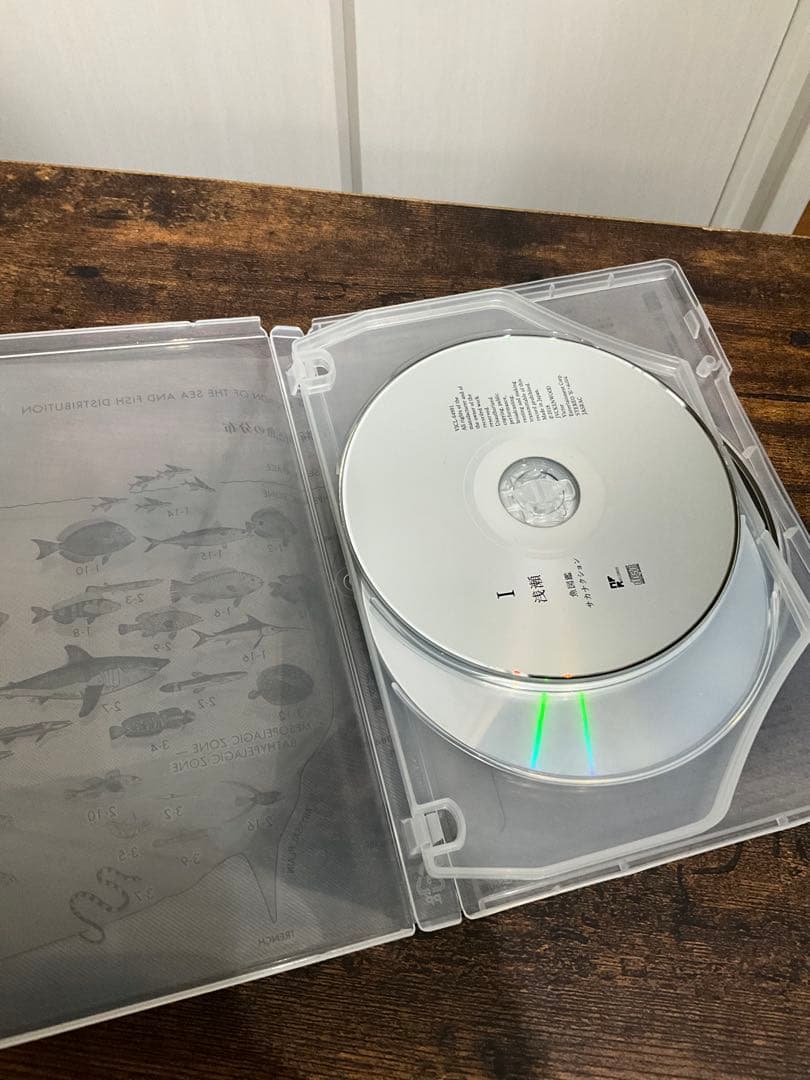 sakanaction どなたか意思を継いでセット①