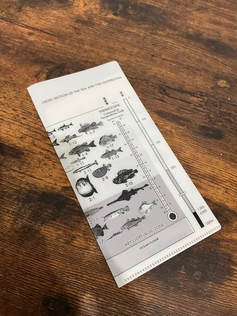 sakanaction どなたか意思を継いでセット①