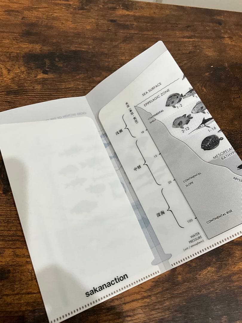 sakanaction どなたか意思を継いでセット①