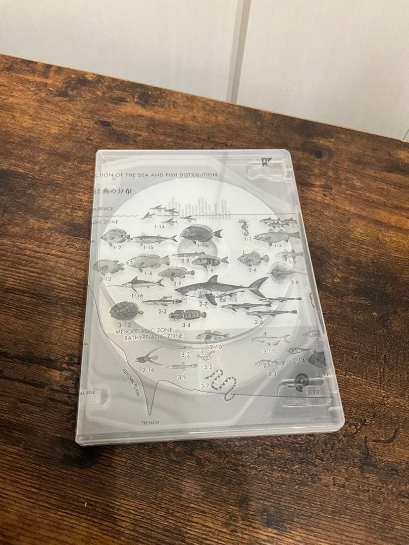 sakanaction どなたか意思を継いでセット①