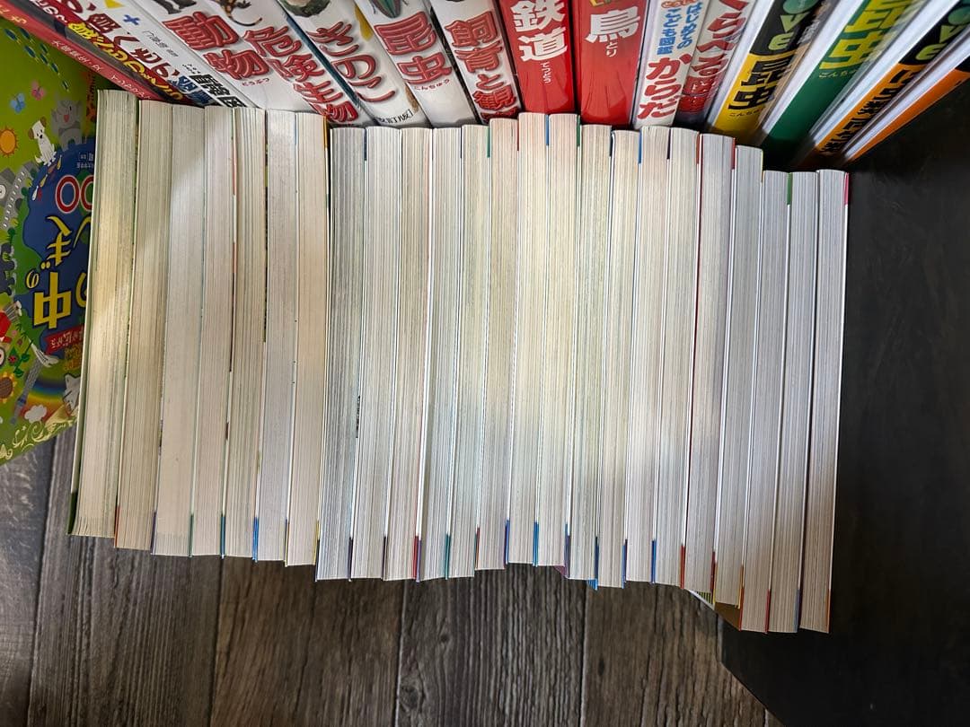 科学漫画サバイバルシリーズまとめて24冊