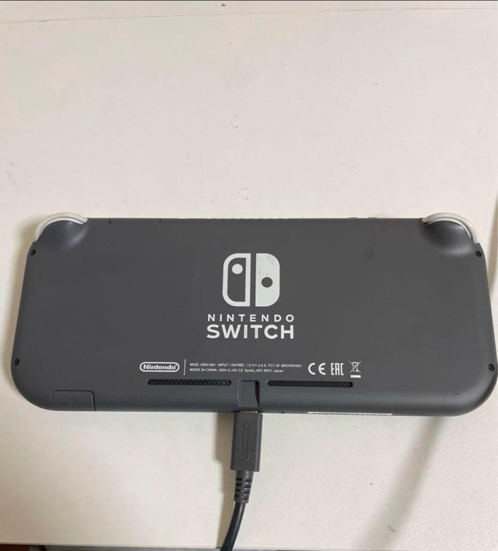 Nintendo Switch Lite グレー 充電器付き カバー付き