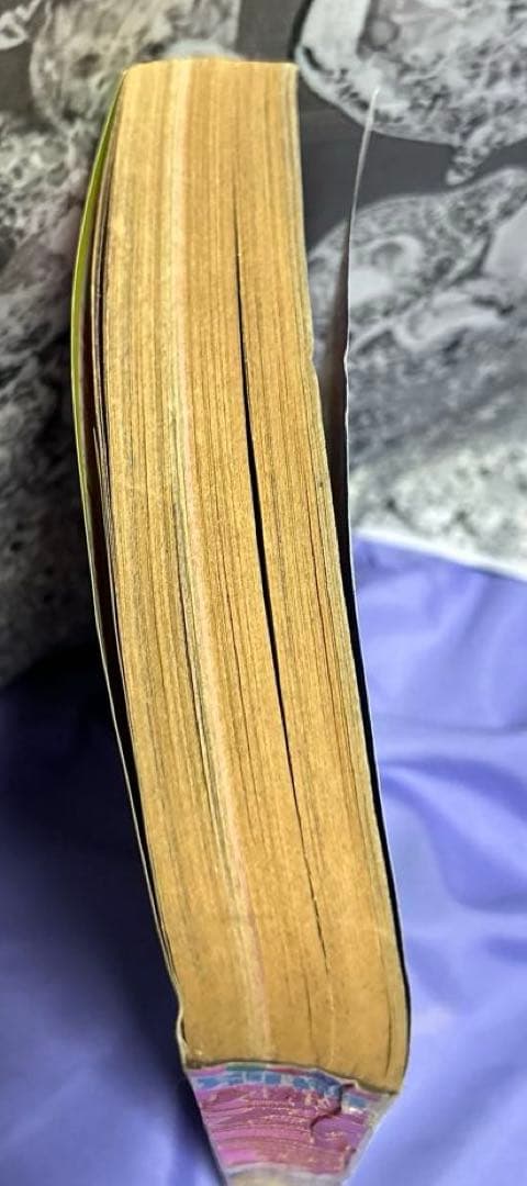 珍品 希少 別冊少女コミック1972（昭和47） 年6月号