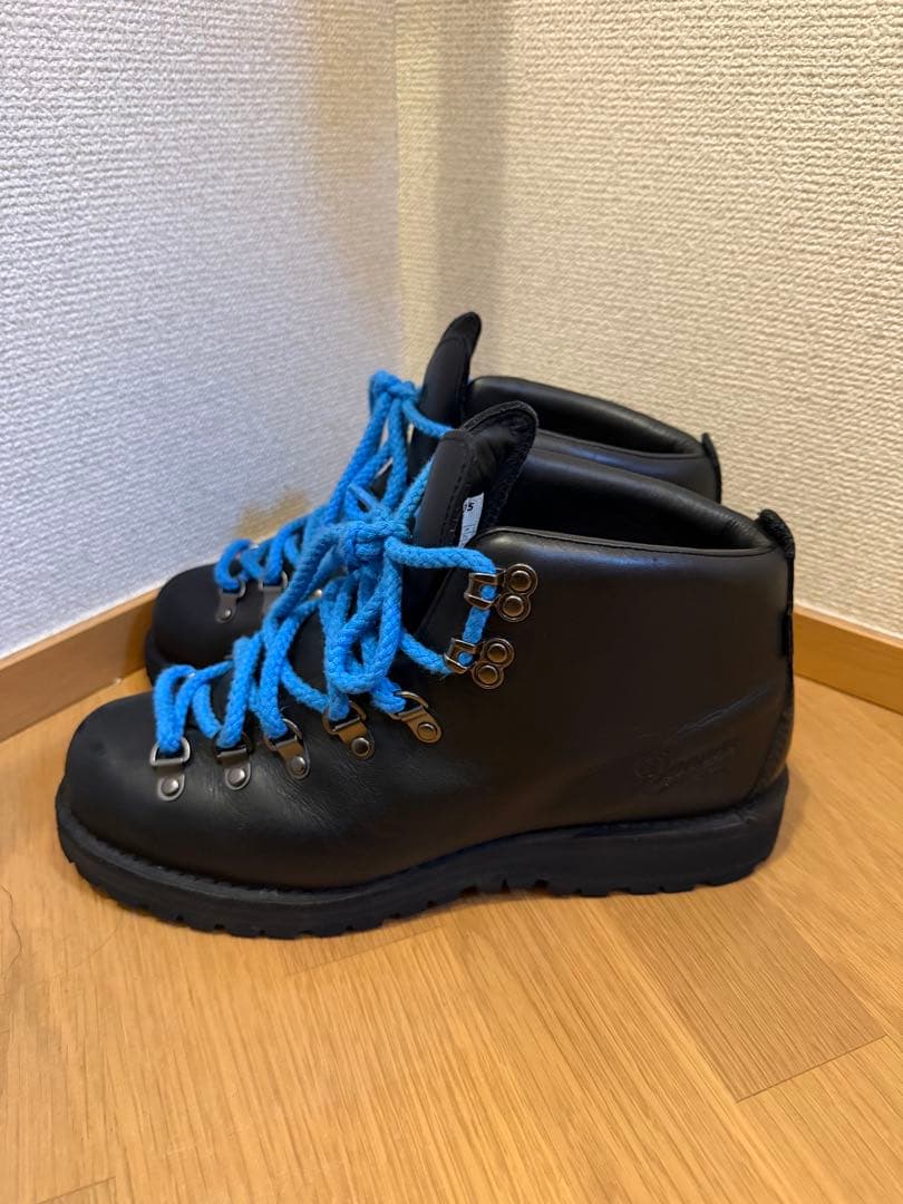 靴 Danner Trail field boots