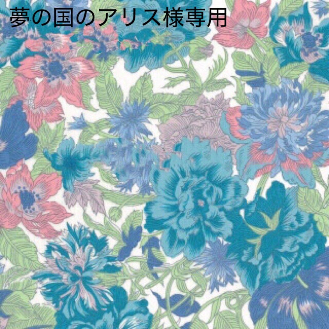 夢の国のアリス