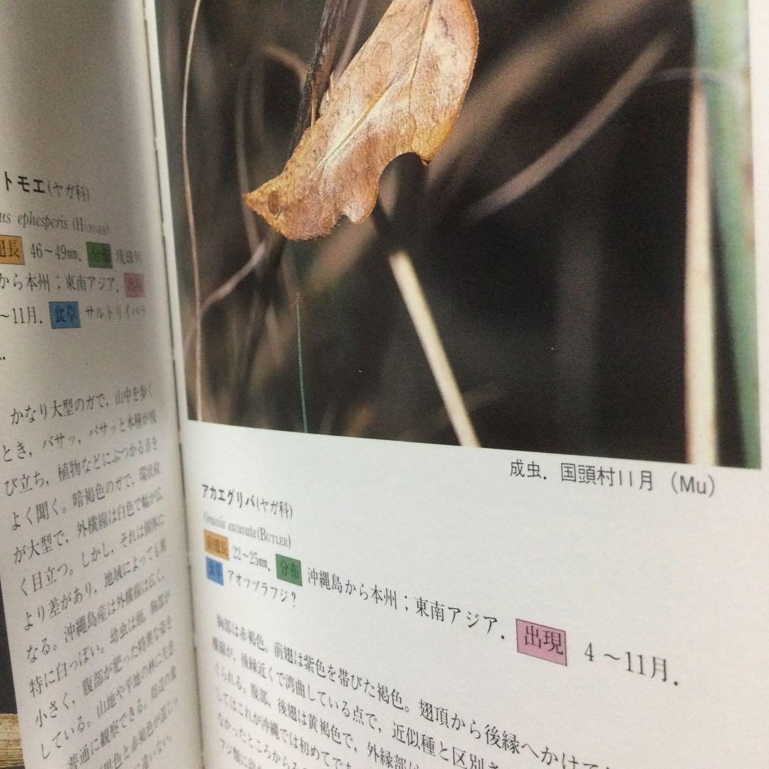 沖縄昆虫野外観察図鑑　増補版 全７巻　東 清二 編著