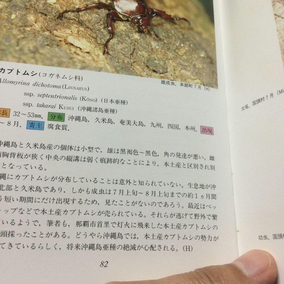 沖縄昆虫野外観察図鑑　増補版 全７巻　東 清二 編著