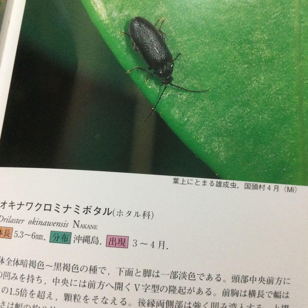 沖縄昆虫野外観察図鑑　増補版 全７巻　東 清二 編著