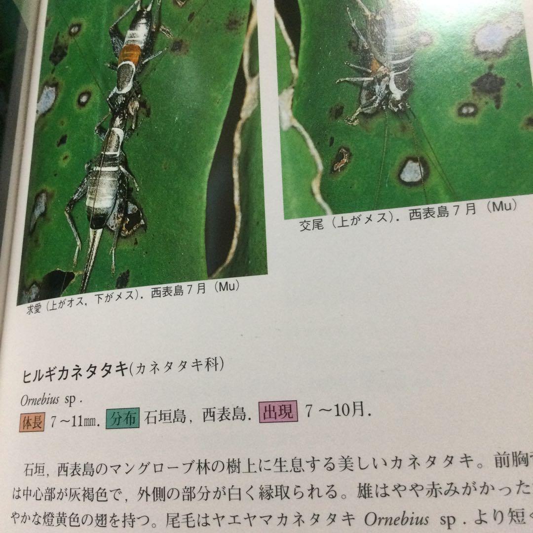 沖縄昆虫野外観察図鑑　増補版 全７巻　東 清二 編著