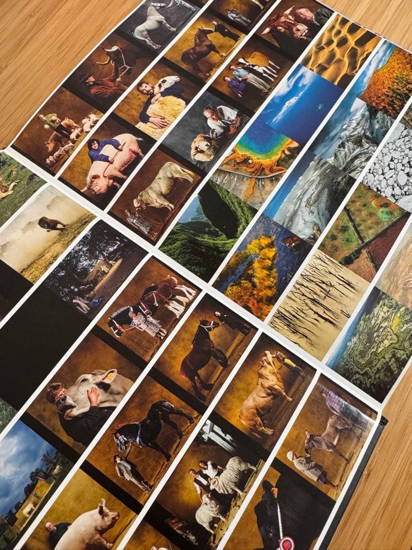 アート・デザイン・音楽 Yann ArthusBertrand Being a Photographer