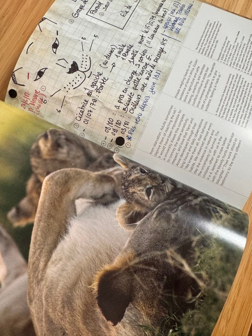 アート・デザイン・音楽 Yann ArthusBertrand Being a Photographer