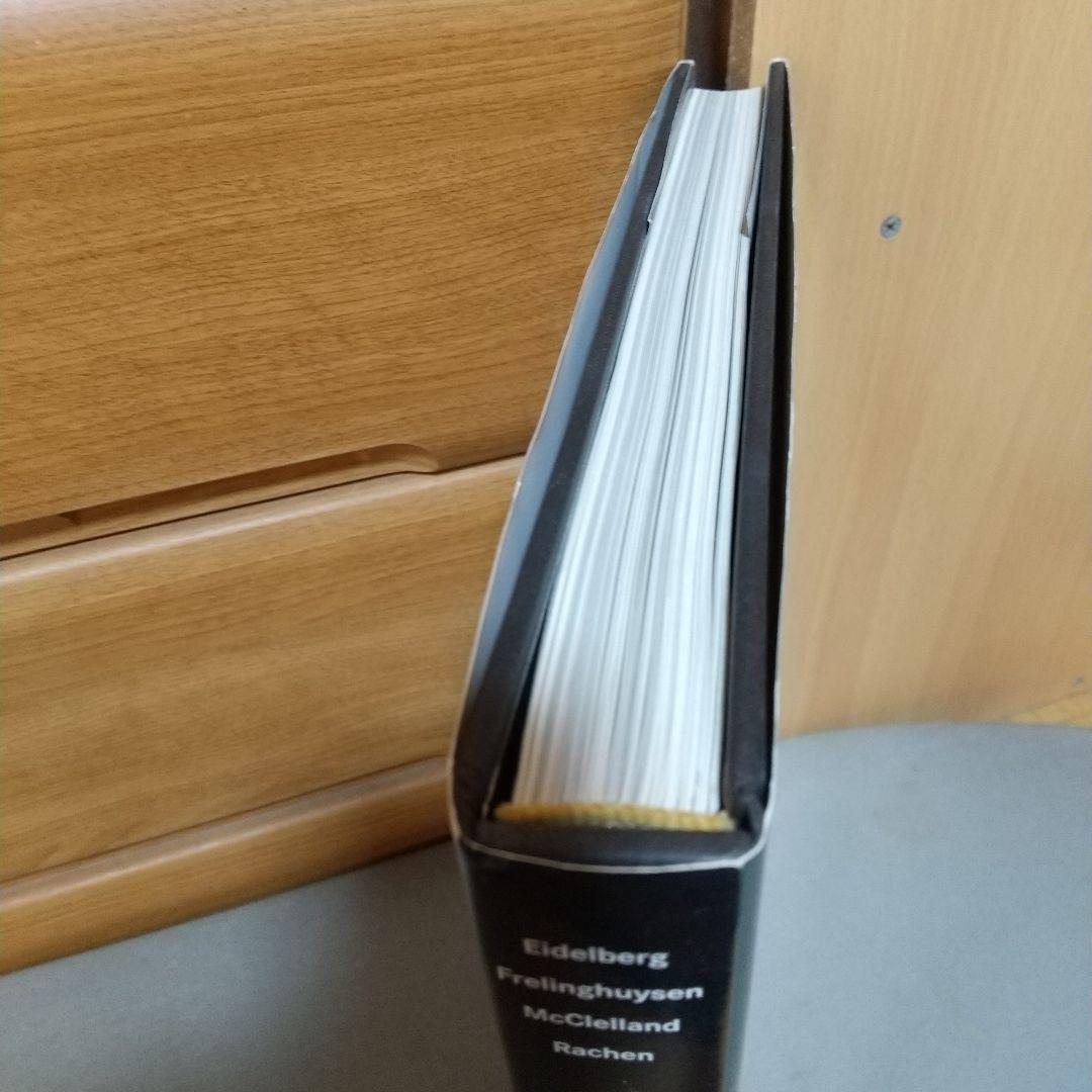 Lamps of Louis Comfort Tiffany 洋書　jc2