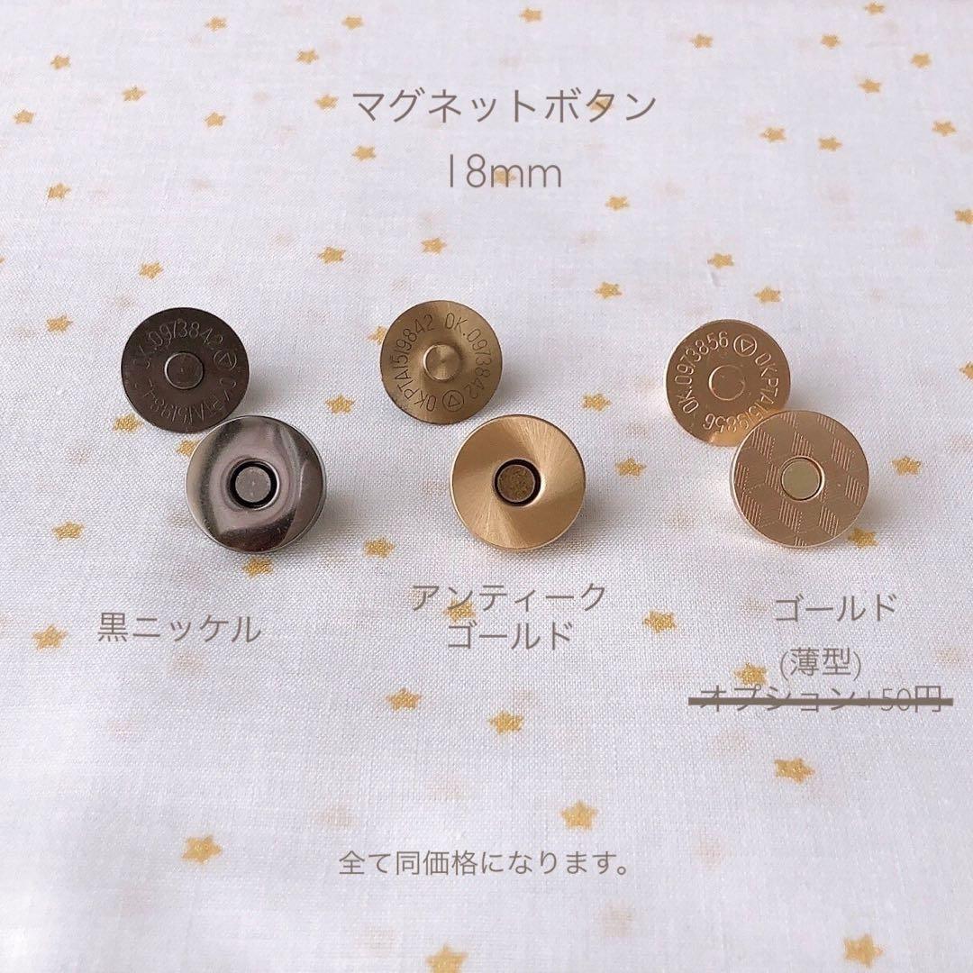 ちぃ　リバティ ハンドメイド 移動ポケット 入園 入学 レッスンバッグ
