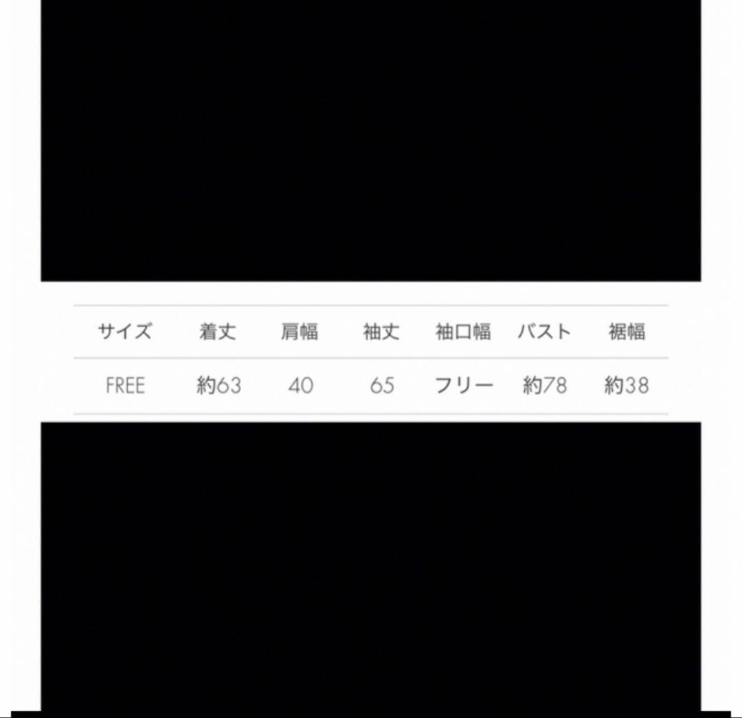 ルフィル le phil タフタコンビカットソー　白　近藤千尋