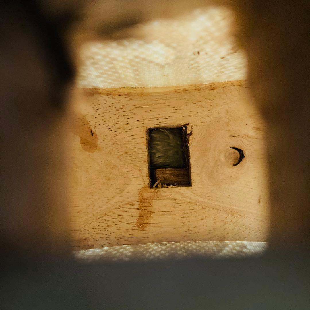 沖縄三線 本皮 三線 沖縄 皮破れなし 蛇皮 本蛇革 琉球 和楽器 弦楽器