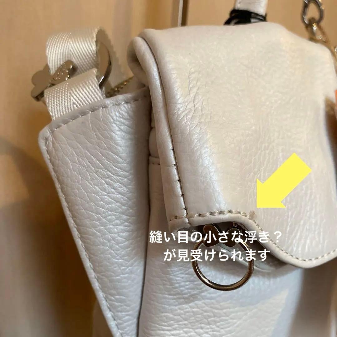 ‼️ま~ ‼️⭐️新品タグ付き⭐️カナナプロジェクト カナナポケット ショルダー