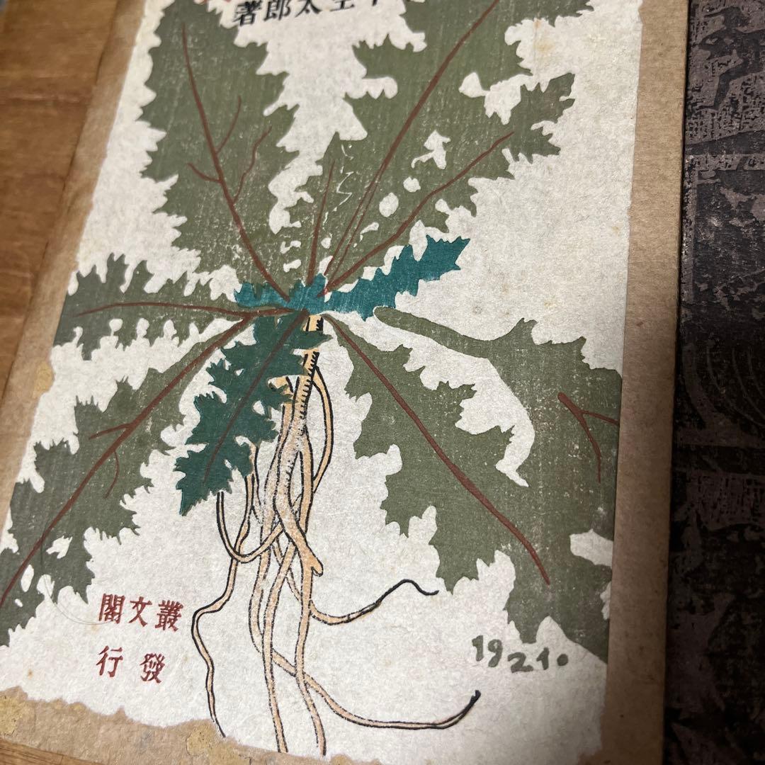 木下杢太郎「地下一尺集」初版 難あり 大正10年 古書 古本