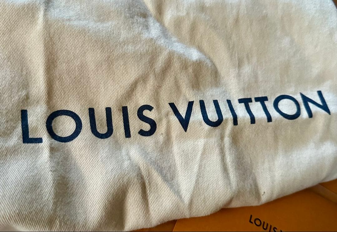 付属品無し　Louis Vuitton アークライト　ワイルドアットハート