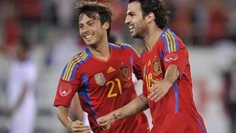 未使用★2011スペイン代表#10セスクファブレガス選手★