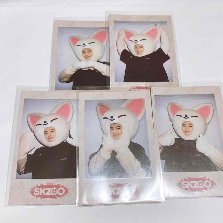 StrayKids SKZOO ポラロイド アイエン I.N