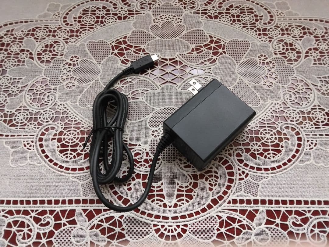 ちた Nintendo Switch Lite