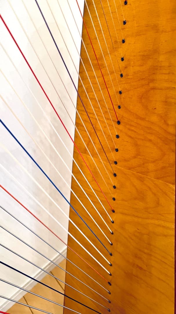 極貴重 ケルトハープ David Kortier Professional 36