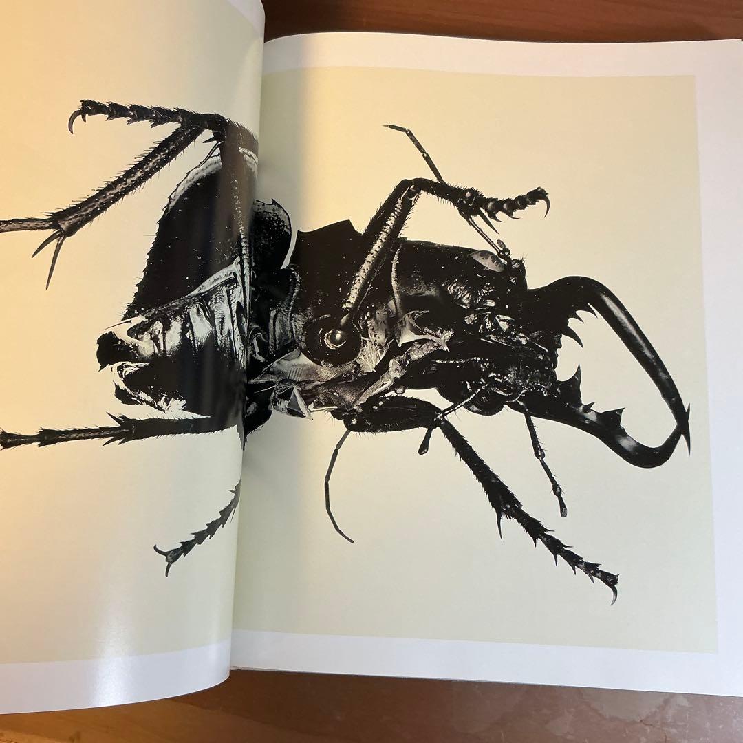 Nick Knight 写真集 ニック・ナイト (洋書)