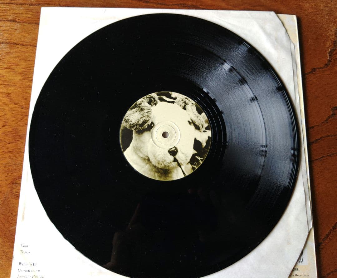 Belle & Sebastian ‎LPレコード