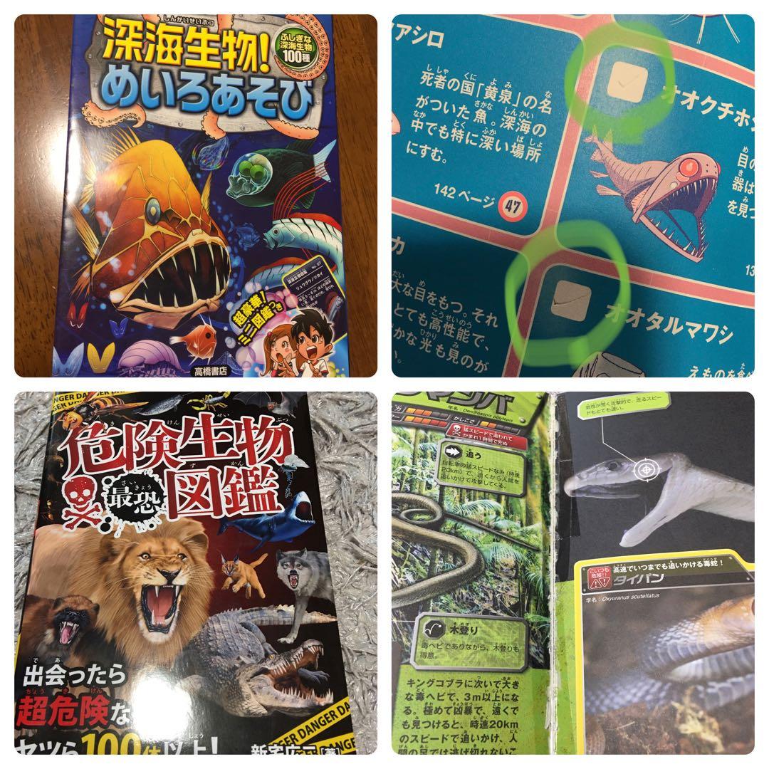 29冊おまとめ売り☆最強王図鑑　他