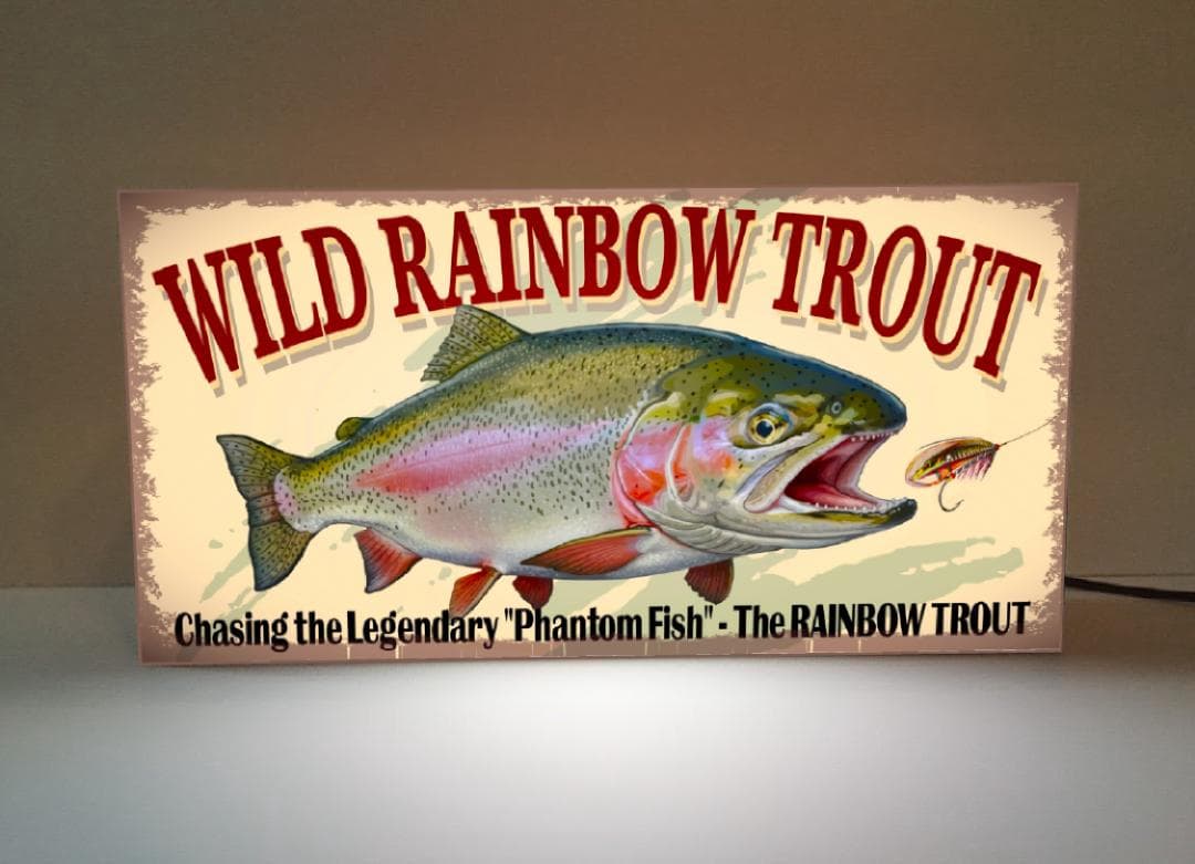 ニジマス 虹鱒 レインボー フィッシング 釣り 看板 置物 雑貨 ライトBOX
