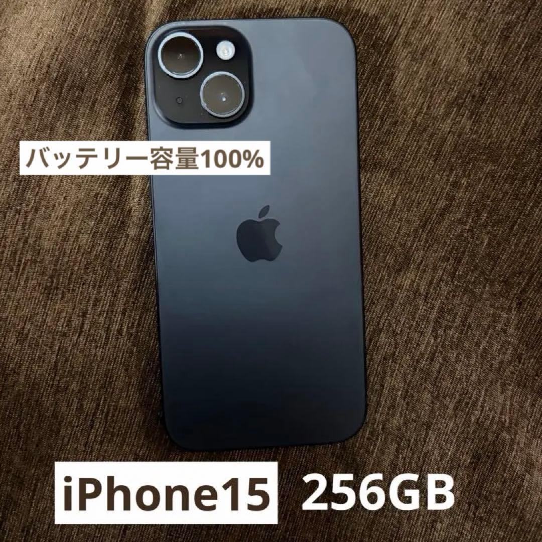 Apple iPhone 15 256GB 本体 アイフォン15