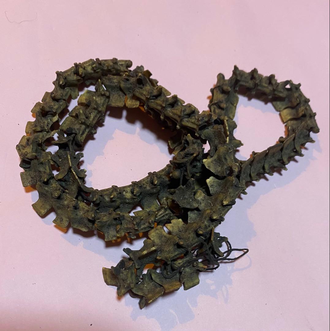 COBRA Bone Beads 1連