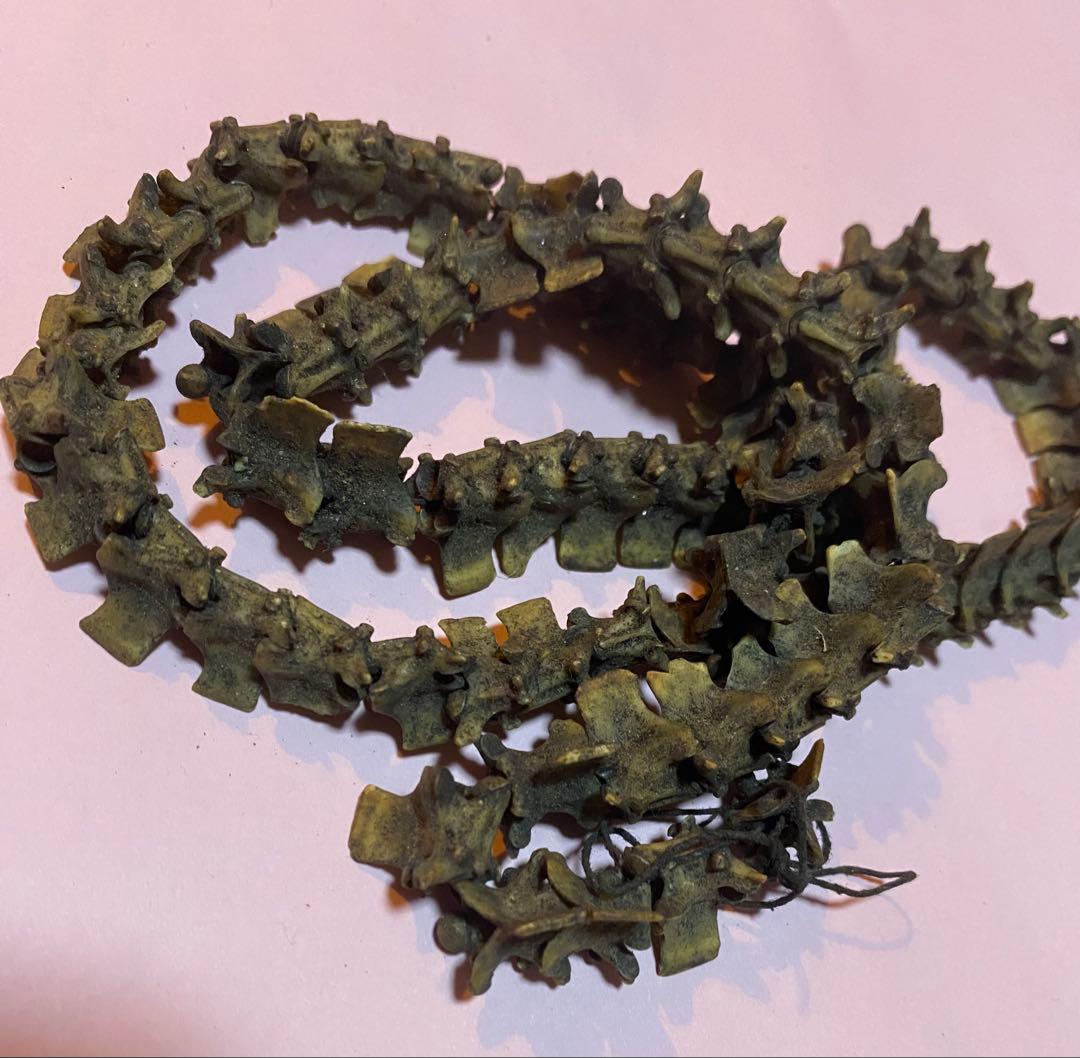 COBRA Bone Beads 1連