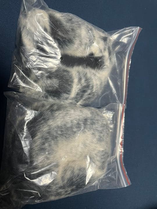 美品 3Dio Free Space XLR バイノーラルマイク