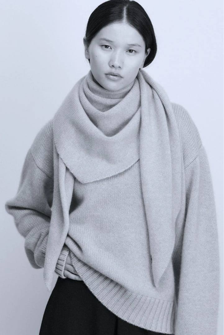 Extreme Cashmere/エクストリーム カシミア/WITCH/grey