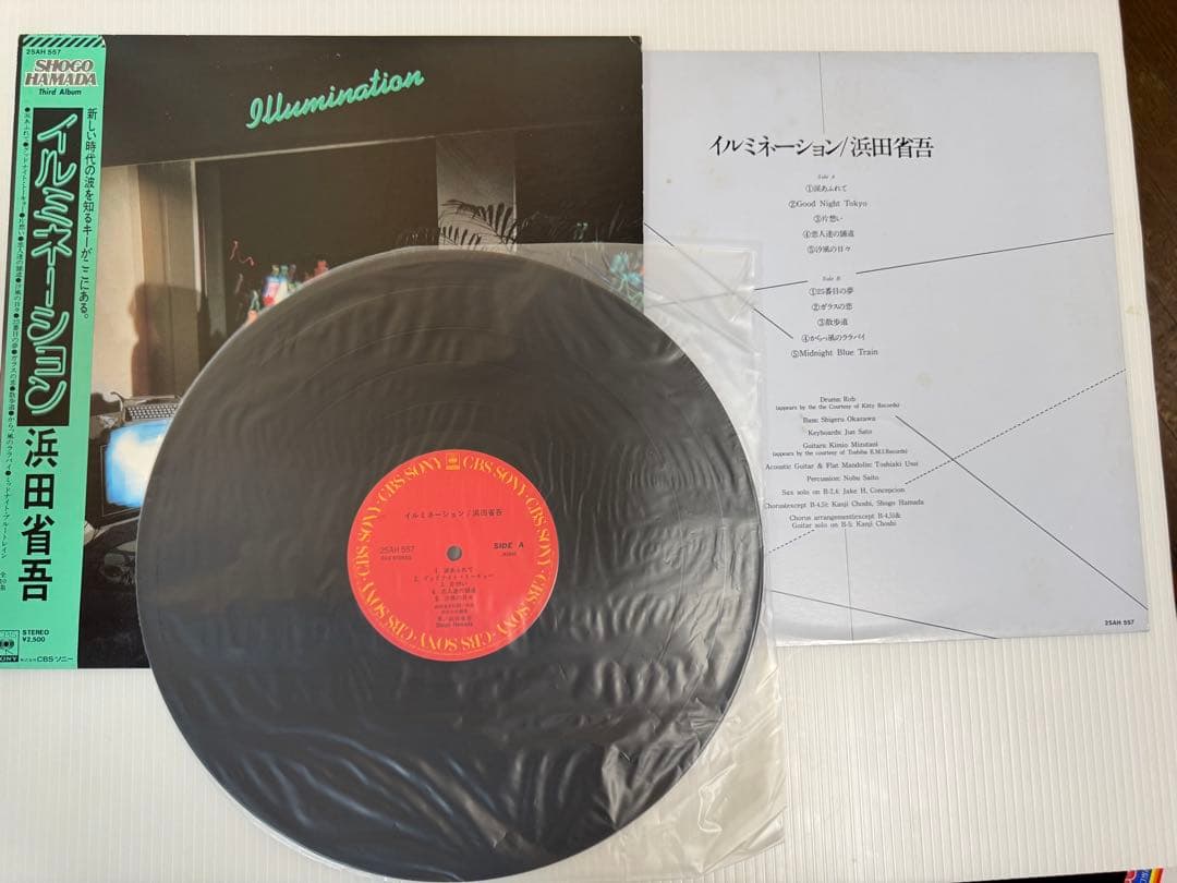 こ*う様 浜田省吾 レコードセット 13枚セット