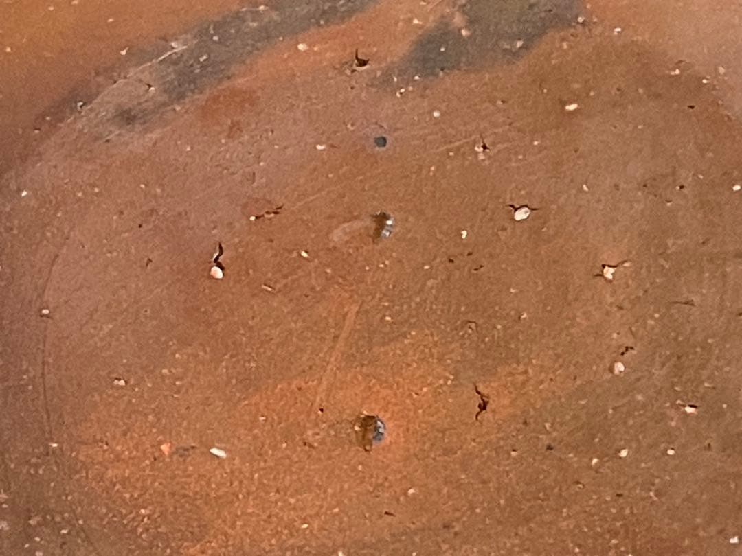 伊勢崎紳　片口鉢