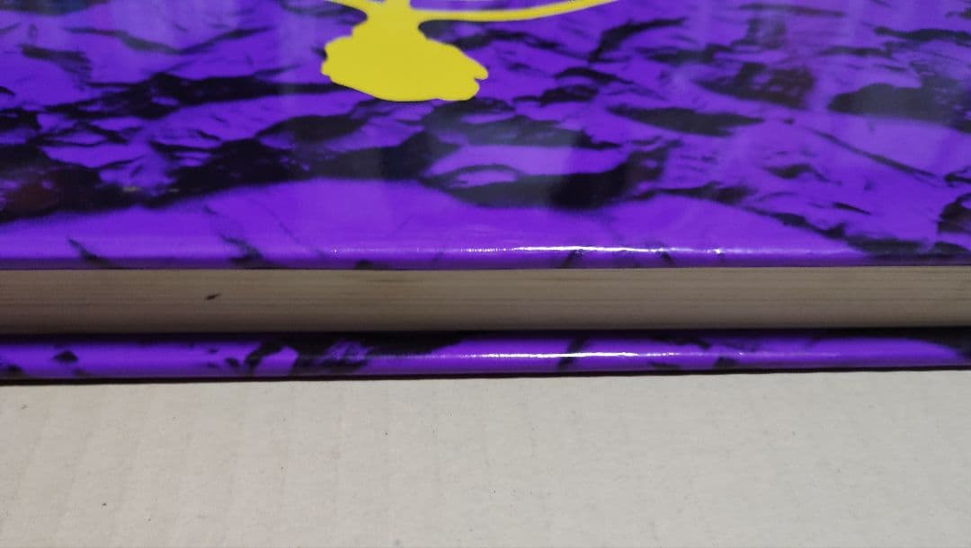 Magiciens de la terre 大地の魔術師たち　カタログ