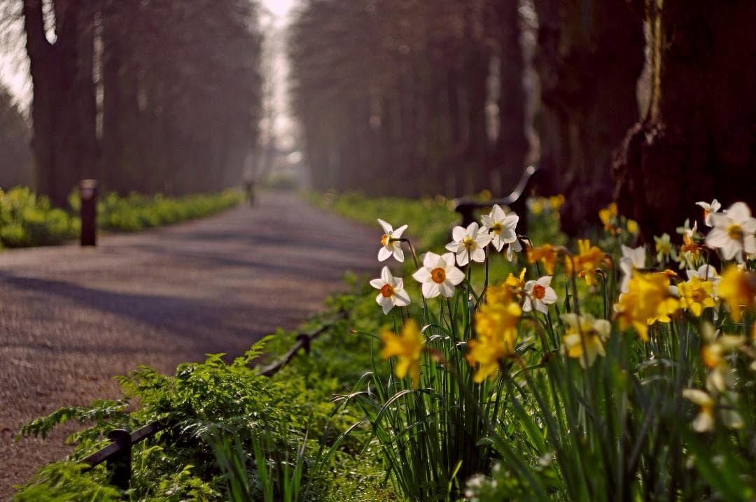 3【希少】初期型　Helios1950年製造　ヘリオス44　アダプター付