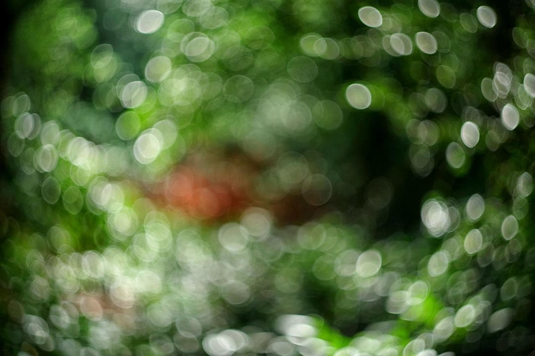 3【希少】初期型　Helios1950年製造　ヘリオス44　アダプター付