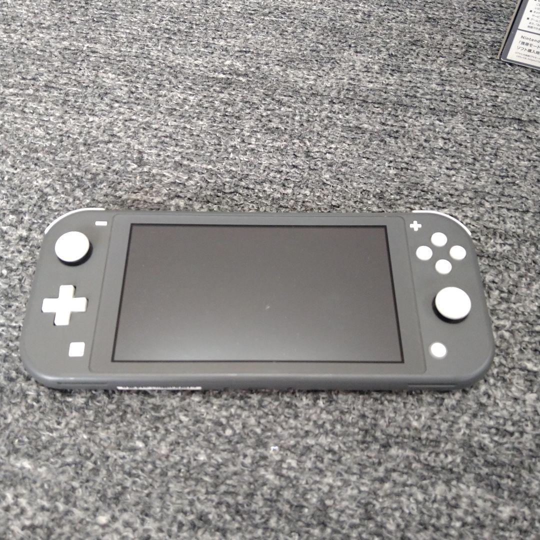 Nintendo Switch Lite 充電ケーブル無し