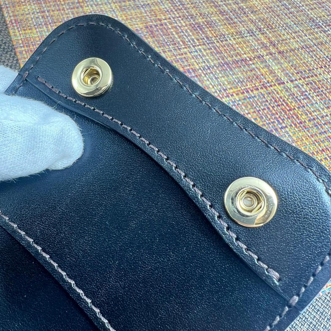 ✨極美品✨WILD SWANS ワイルドスワンズ　PARM　V2　SD/BK