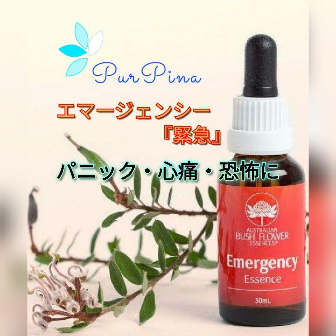 【専用】ハートスピリットエッセンス　パシフィックエッセンス　フラワーエッセンス