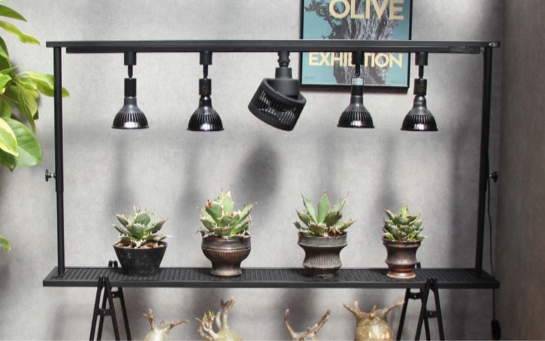 Lim iron craft 植物棚　アイアンラック　インテリア