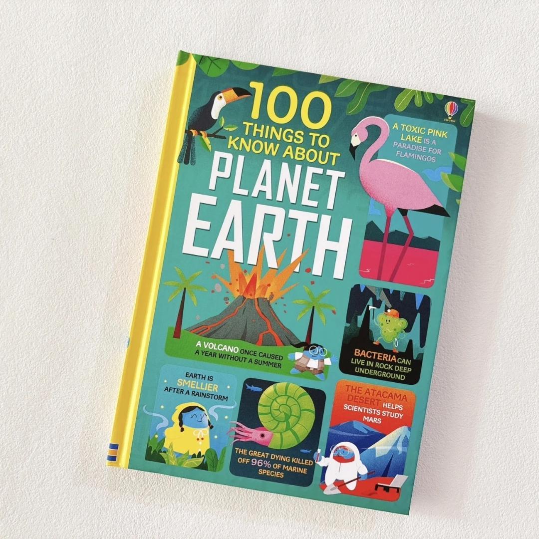 新品 100 Things to Know About 英語絵本 11冊セット